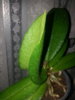 20160130_140012.jpg