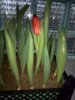 IMG_20160201_100339.jpg
