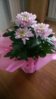 WP_20151127_002.jpg