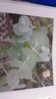 20160206_192447.jpg