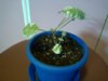 IMG_20160208_175117.jpg