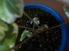 IMG_20160208_175044.jpg