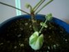 IMG_20160208_175108.jpg
