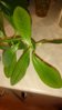 DSC_0116.JPG
