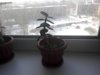 IMG_20160216_141756.jpg