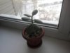 IMG_20160216_141834.jpg