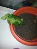 20160216_211454.jpg