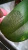WP_20160215_19_20_01_Pro.jpg