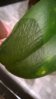 WP_20160215_19_19_54_Pro.jpg