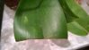 WP_20160215_19_23_15_Pro.jpg