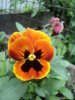 DSC00192.JPG