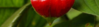 upload_2016-2-21_16-7-57.png