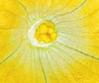 upload_2016-2-24_12-10-34.png
