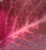 20150514_173452.jpg
