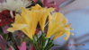 DSCN0154.JPG