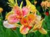 flower_10.jpg