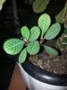 20160227_201059.jpg