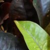20160228_144217-1.jpg