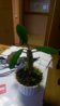 IMAG0080.jpg
