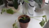 20160229_125804.jpg
