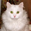 IMG_7827-0.jpg