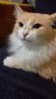 20160119_211141.jpg