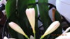 DSCN0222.JPG