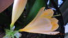 DSCN0225.JPG