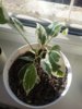 20160229_095859.jpg