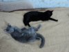 DSC01964.JPG