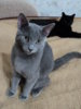 DSC01967.JPG