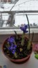 20160303_112047.jpg