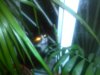 IMG_20150225_224837.jpg
