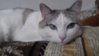 20160304_121244.jpg