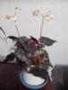 20160304183409.jpg