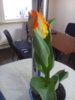 IMG_20160305_103203.jpg