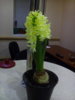 IMG_20160307_201305.jpg