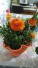 IMG-20160310-WA0000.jpg