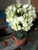 20160312_083914.jpg