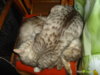 DSC05028.JPG