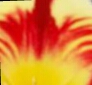 downloadfile-4.jpg
