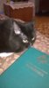 WP_20160314_18_16_47_Pro.jpg