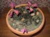DSC01672.JPG