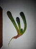 20160315170103.jpg