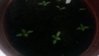 20160315_223144.jpg