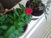 20160312_180055.jpg