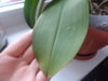 DSC01215.JPG