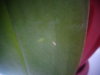 DSC01210.JPG