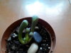 20160317095323.jpg