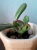 20160316091221.jpg